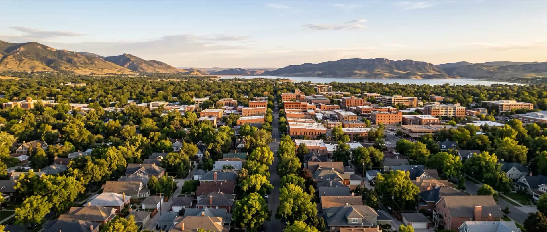 Illustrative representation of residential rooftops under a dense mature tree canopy in Fort Collins, Colorado with the foothills to the west