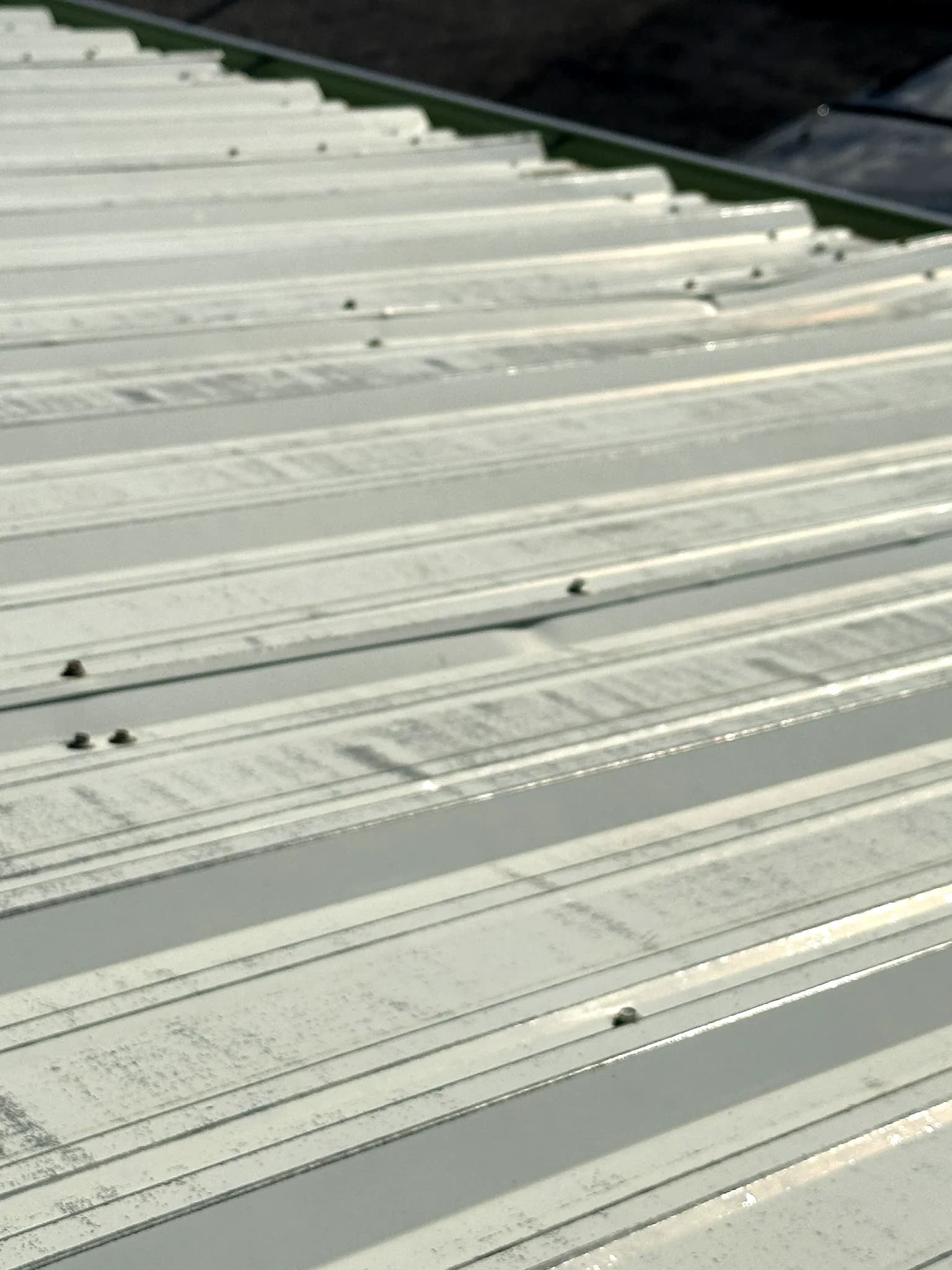 Aged exposed-fastener ribbed galvanized metal roof panels showing hail wear on a commercial building in Grand Junction, Colorado