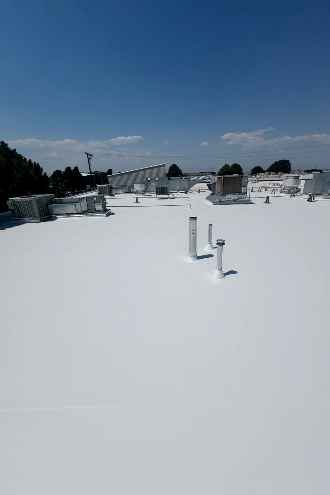Finished 60-mil white Johns Manville TPO membrane with heat-welded seams on a commercial roof in Denver, Colorado