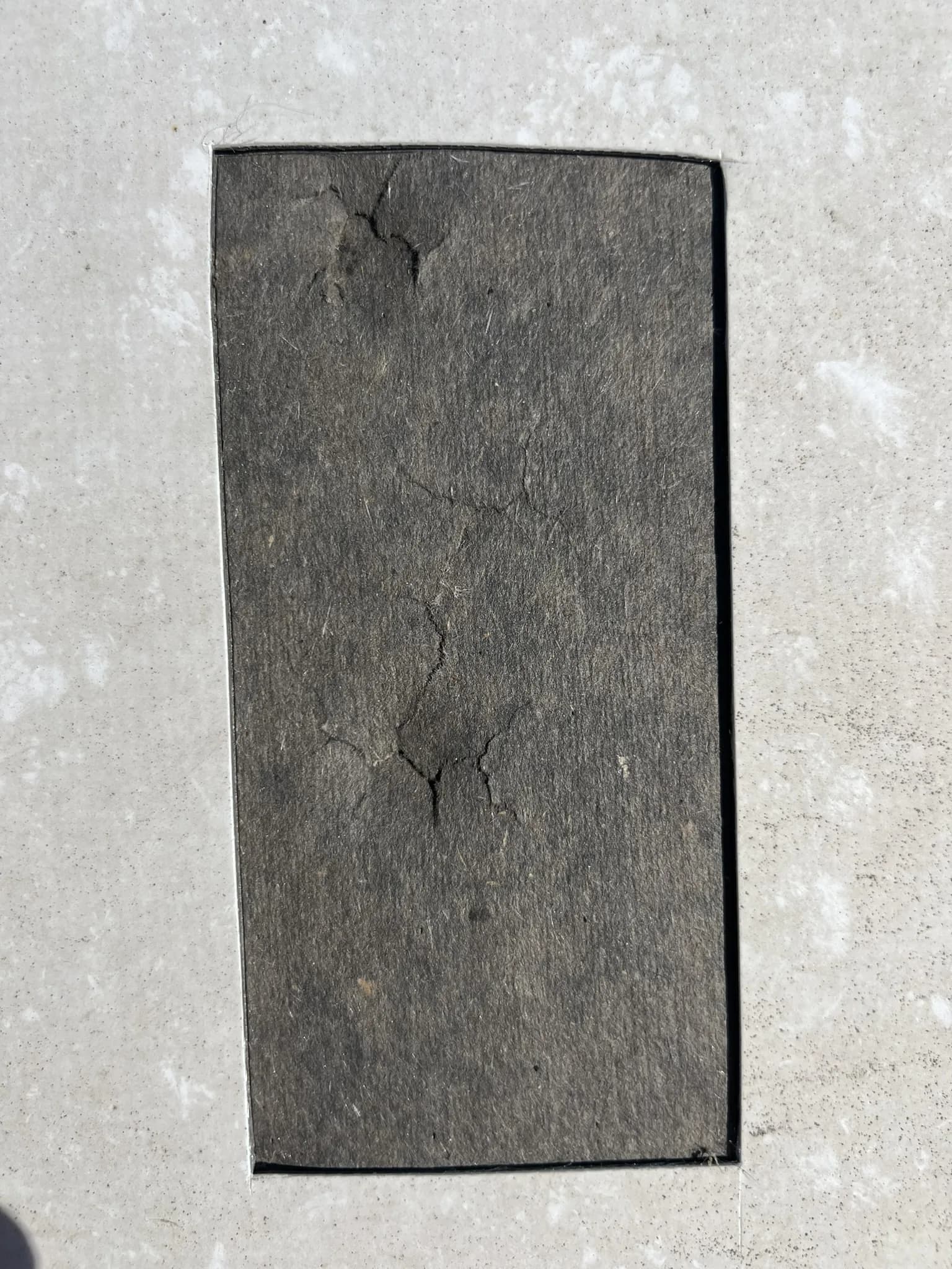 Cracked roof cover board cut from beneath the membrane, showing hail damage below the surface on a Denver commercial roof