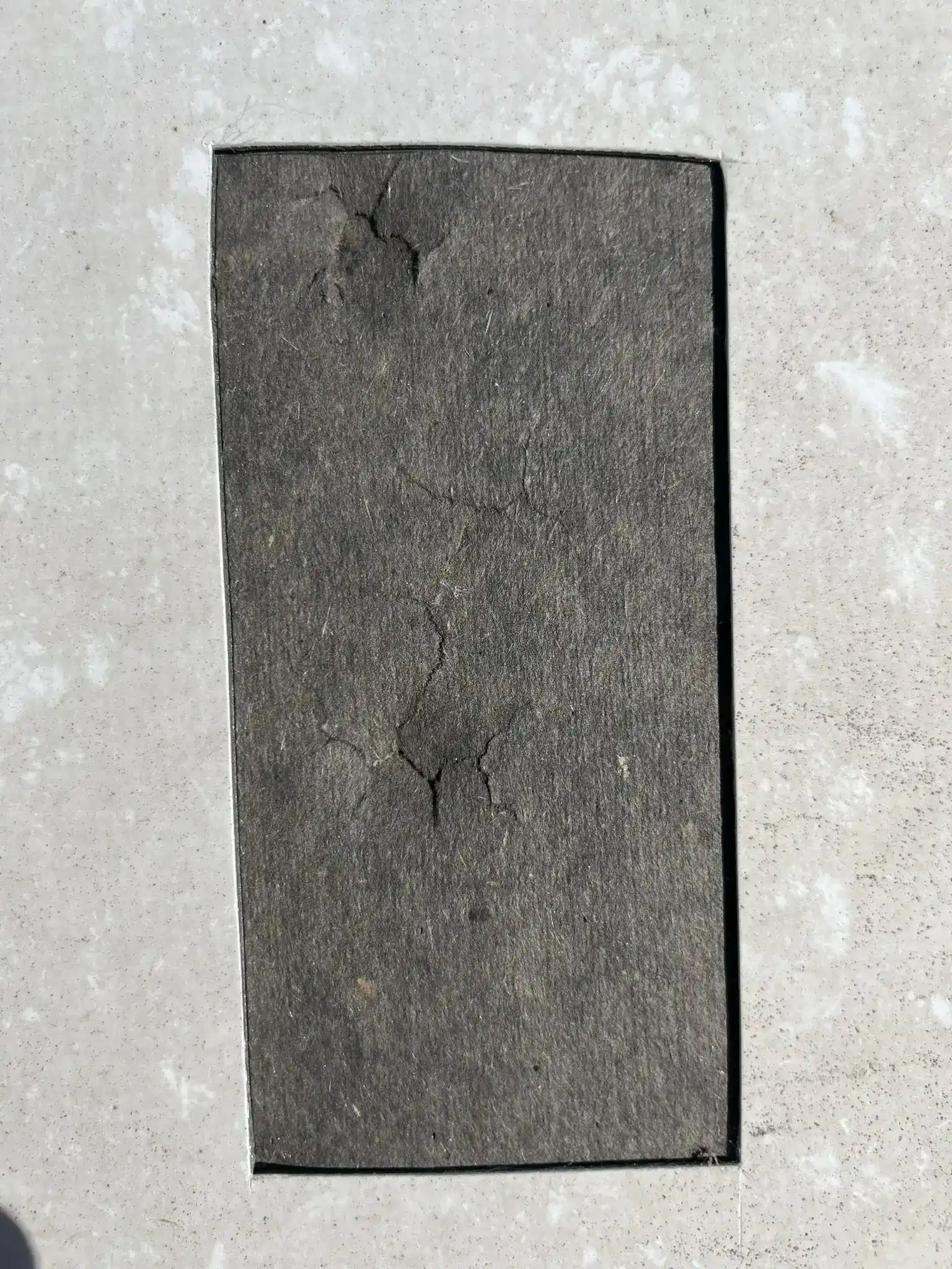 Cracked roof cover board cut from beneath the membrane, showing hail damage below the surface on a Denver commercial roof