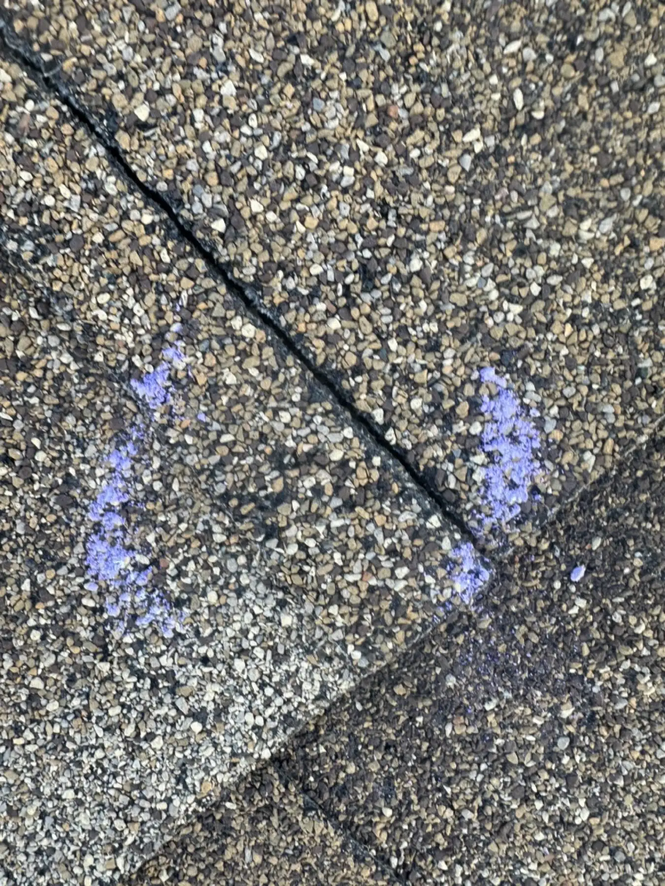 Close-up of hail impacts on an old asphalt shingle at a Colorado Springs condo community, with individual bruises circled in chalk