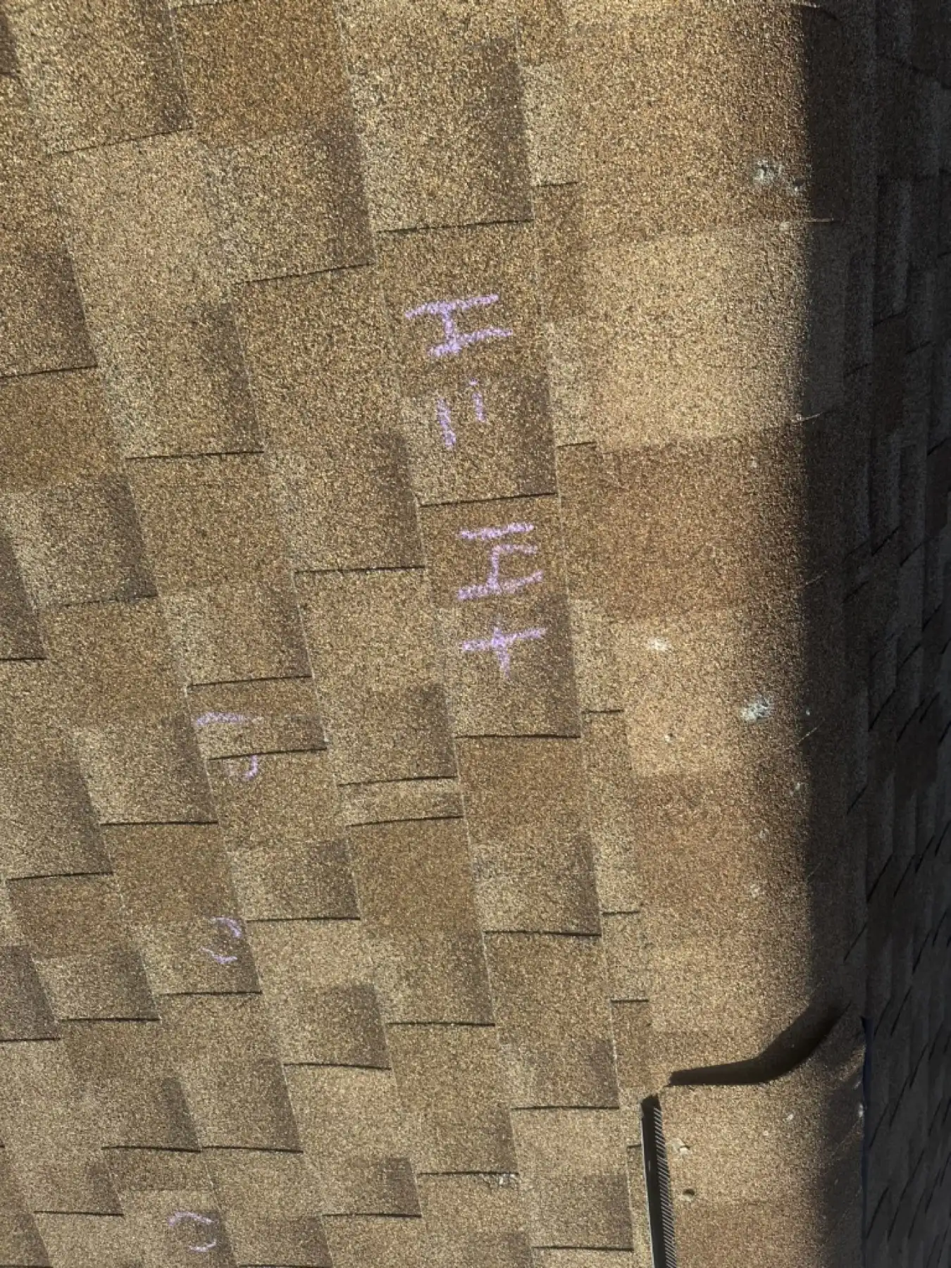 A chalk-marked ten-by-ten-foot hail test square on an old asphalt shingle roof at a Colorado Springs condominium community, with individual hail impacts circled for the insurance adjuster