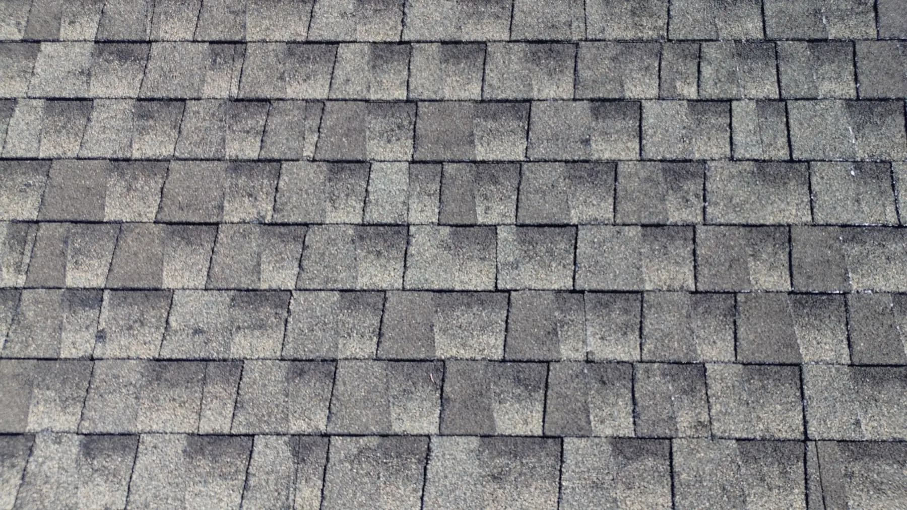 Close-up of hail-damaged architectural asphalt shingles in Castle Pines, Colorado, showing dark bruises and granule loss where hailstones struck