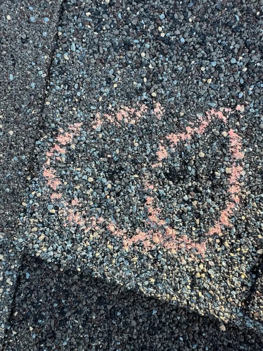 Close-up of a hail impact on an asphalt shingle in Denver, Colorado showing granule loss and a bruised mat, circled in chalk