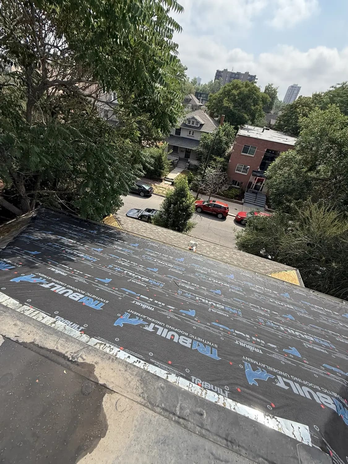 Roof deck in Denver, Colorado dried in with synthetic underlayment, with the tree-lined street and downtown Denver skyline in the background