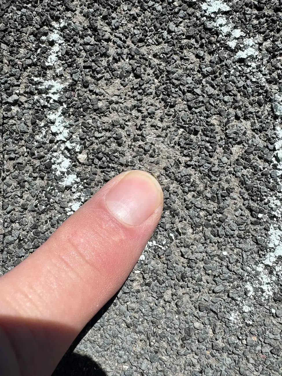 Close-up of hail impact on an asphalt shingle in Elizabeth, Colorado, showing granule loss where a hailstone struck