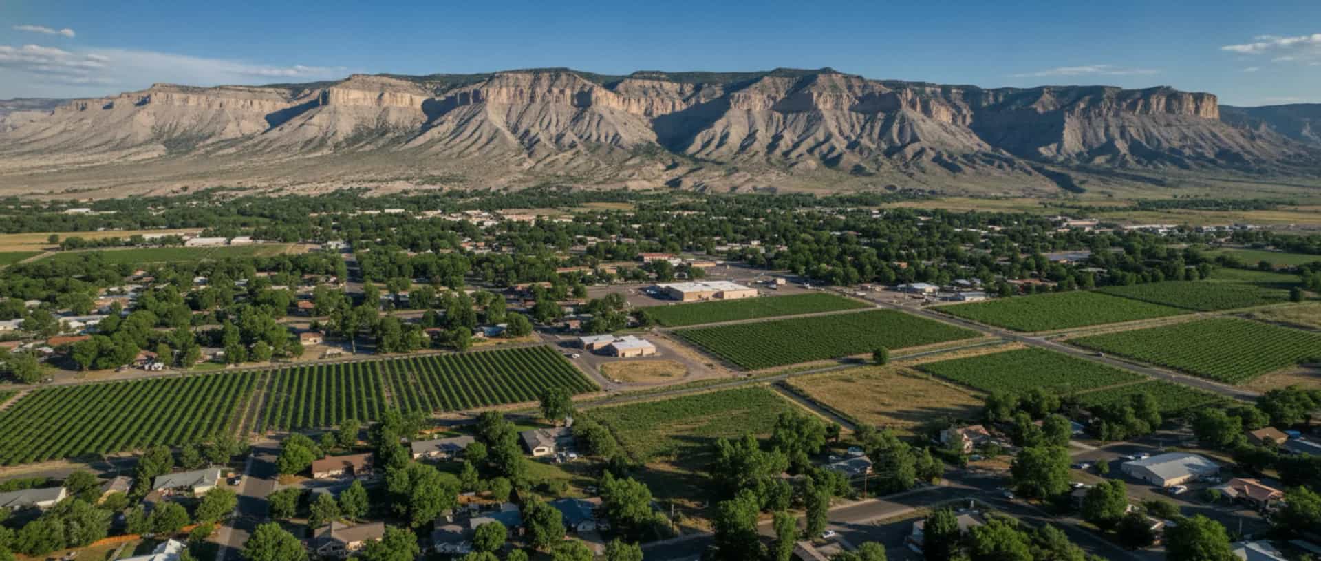 Illustrative representation of Palisade, Colorado seen from the air: peach orchards and vineyards in rows around the town, with the pale layered bluffs of Mount Garfield and the Book Cliffs rising behind it