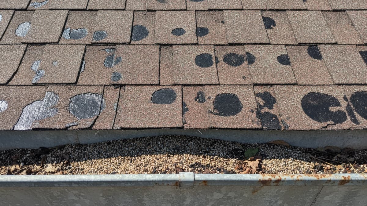 Illustrative representation of an asphalt roof with bald spots from granule loss and shed granules collected in the gutter